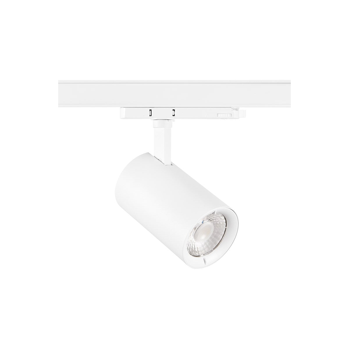 Projecteur sur rail Pixo Large Food Poisson 40W MB Blanc