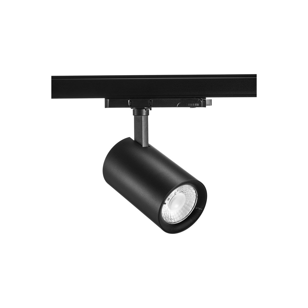Projecteur sur rail Pixo Large Food Poisson 40W MB Noir