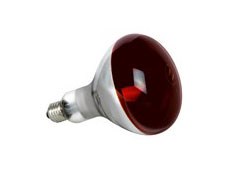 Lampes spéciales Infra Rouge R125 250W